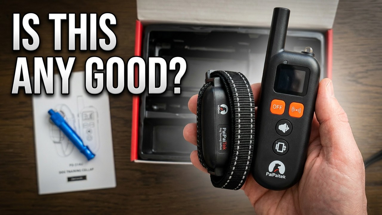 Before You Buy a Dog Training Collar, Watch This