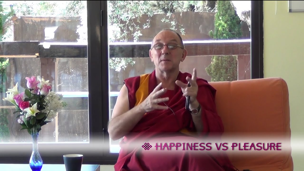 Happiness Vs Pleasure