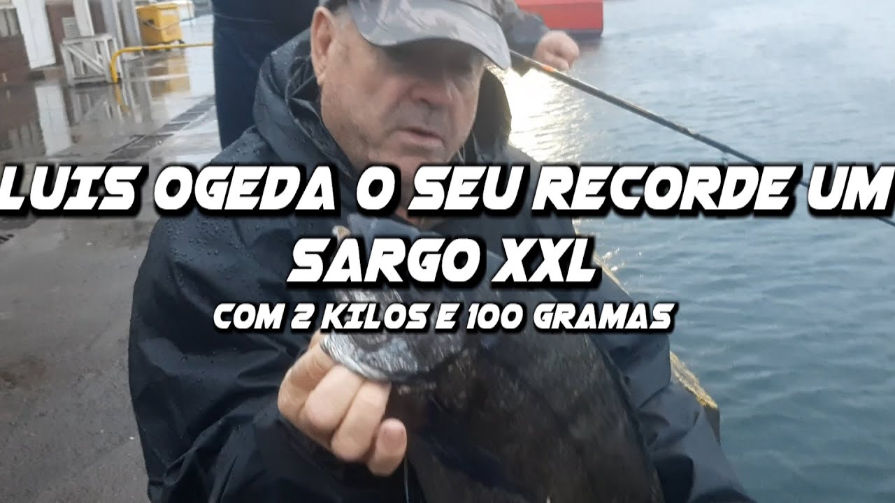 Sargo com 2k100g com 48 Centimetros  By, Luis Ogeda na Ilha de São Miguel Açores 2024 HD