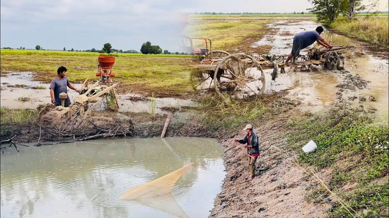 នៅស្រែ ! បូមស្រះចាប់ត្រីបានច្រេីនណាស់