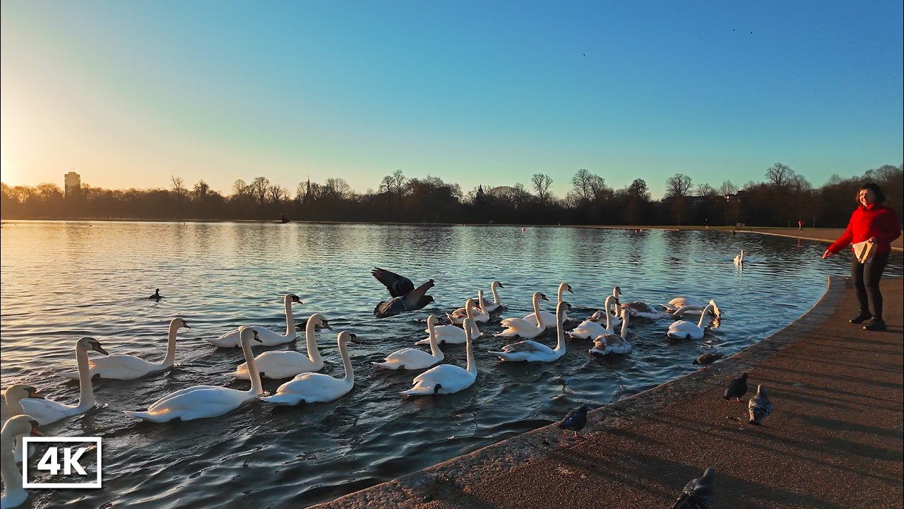 London POV Walk 🇬🇧 7AM in Kensington Gardens - Peaceful Spring & Relaxing Morning Walk | 4K HDR