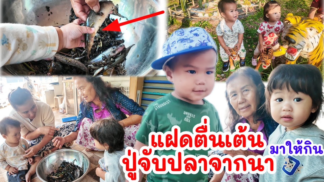 แฝดตื่นเต้น ปู่จับปลาจากนา มาให้พวกเรากิน ได้ปลาอะไรมาบ้าง ?