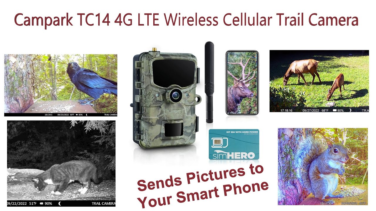 Review of CamPark TC14 4G LTE Wireless Cellular Trail Camera With Sim Card