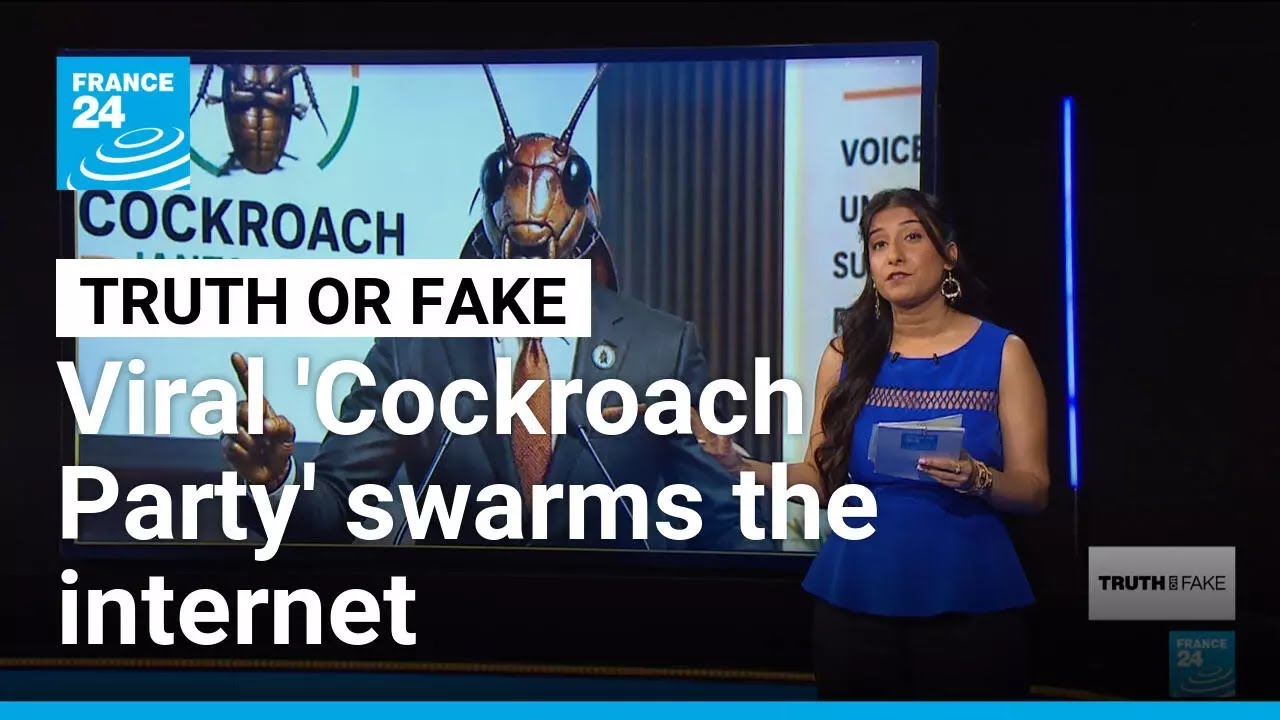 Cockroach Janta Party: India's youth turn judge's jab into viral political movement &bull; FRANCE 24