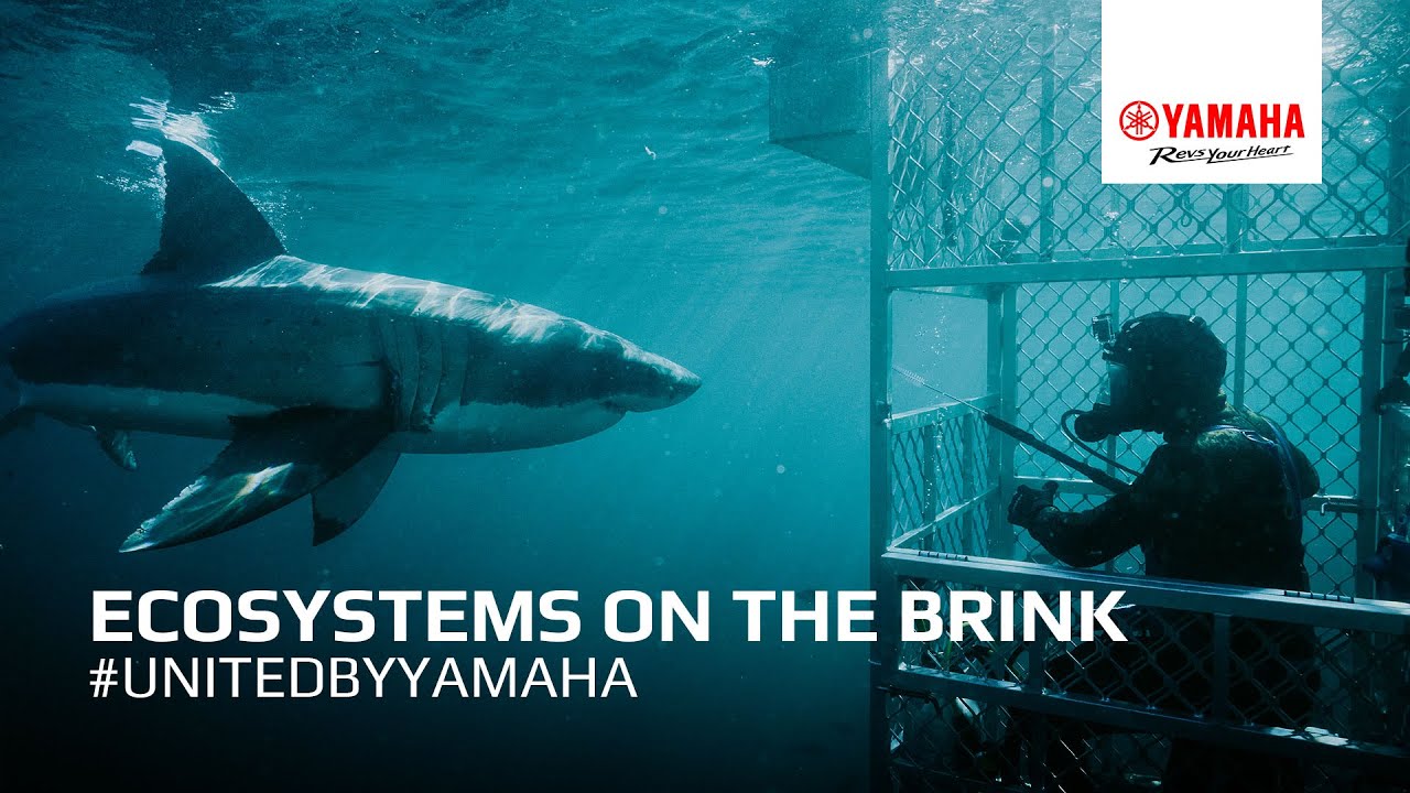 EP. 9 Ecosystems on the Brink | #UnitedByYamaha