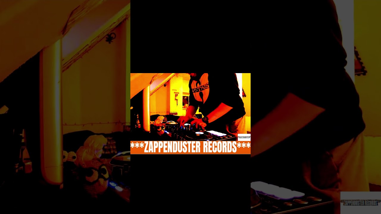 MINIMAL *ZAPPENDUSTER RECORDS* #house #dj #techno #housemusic #deephouse