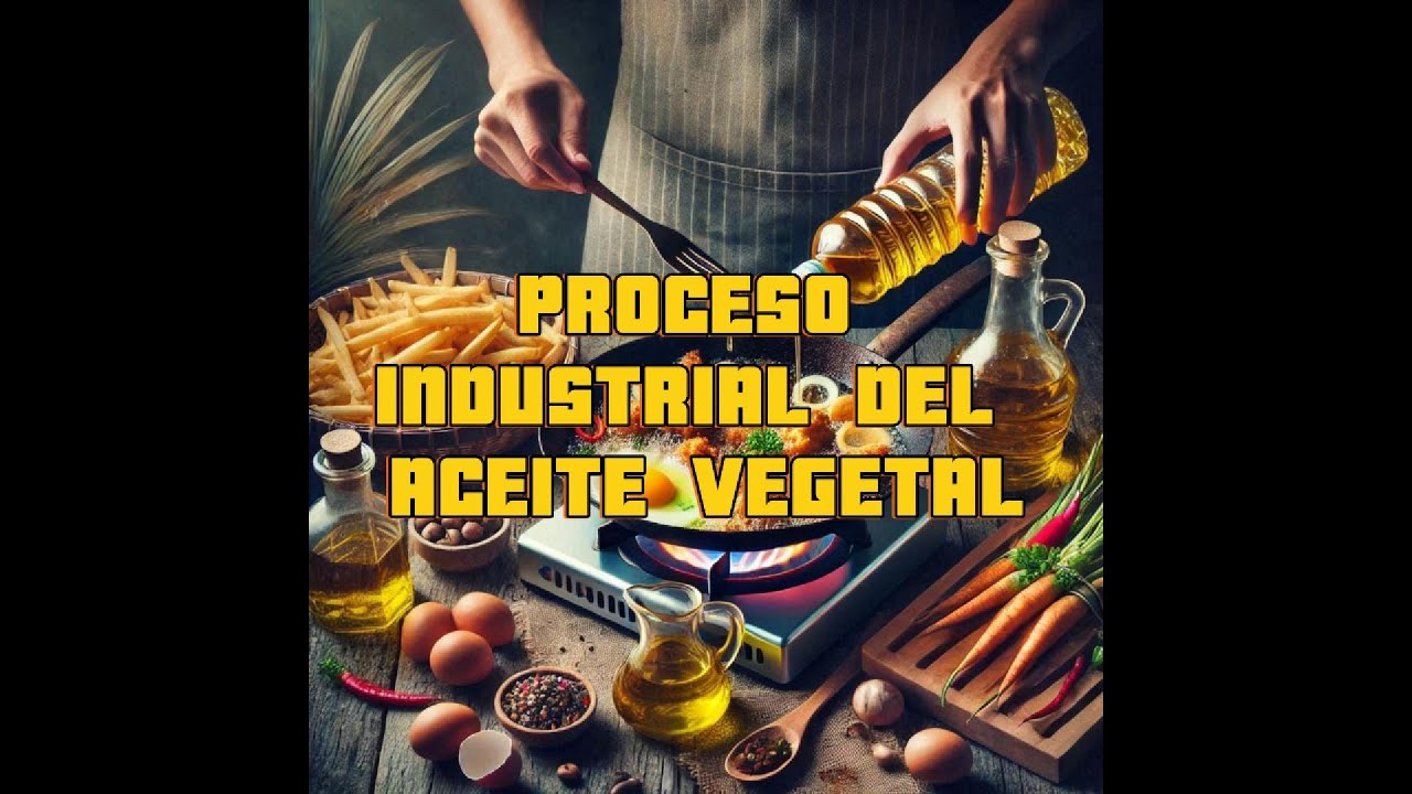 Conoce como es el proceso de elaboraci&oacute;n del ACEITE VEGETAL
