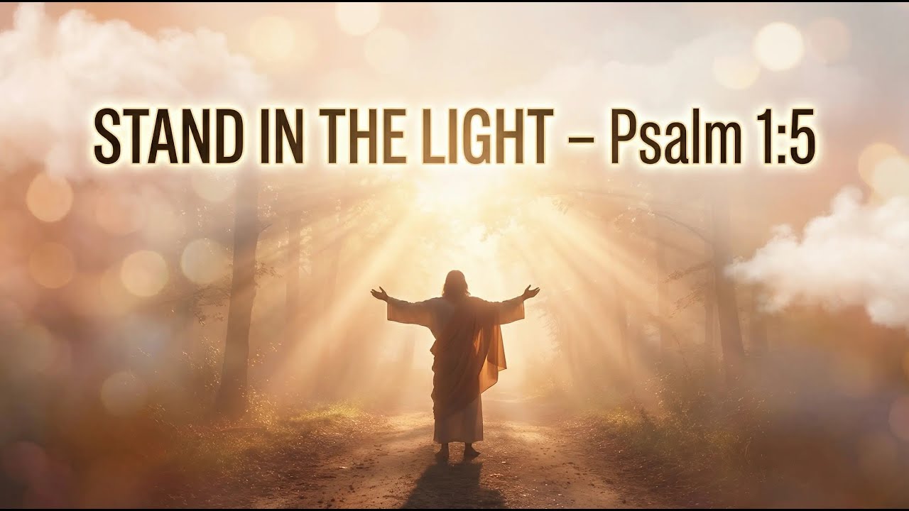 Stand in the Light - Official Christian Lyric Video