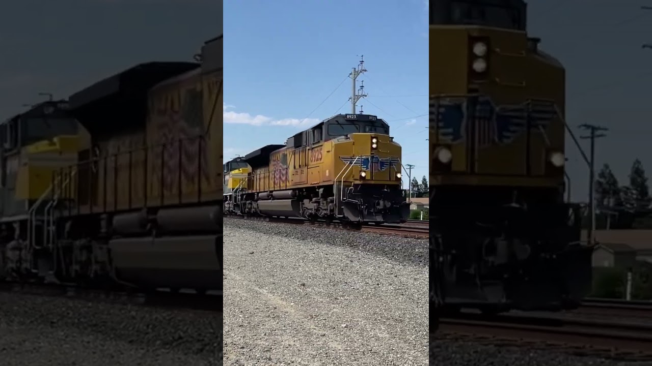 UP 1995 & 1996
