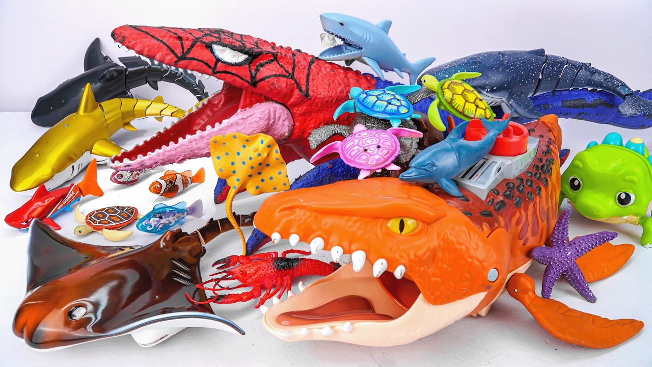 [🦈toy asmr🦈] Mosasaurus & Zuru Robo Turtle & Sea Animal Toys Collection | Satisfying With Unboxing