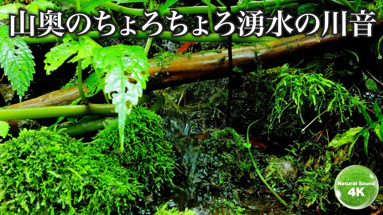 【熟睡の湧水川音】山奥から湧き出す水の音で爆睡眠してください