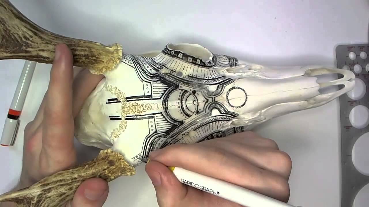 Drawing on a Deer Skull #2