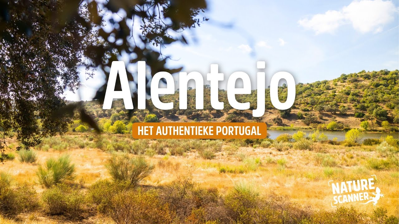 Alentejo in Portugal | Authentieke en vergeten regio