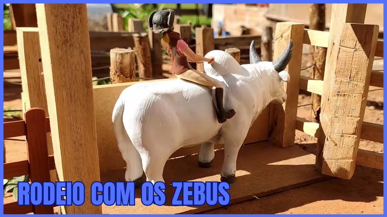 SEGURA PEÃO: DIA DE RODEIO NA FAZENDINHA