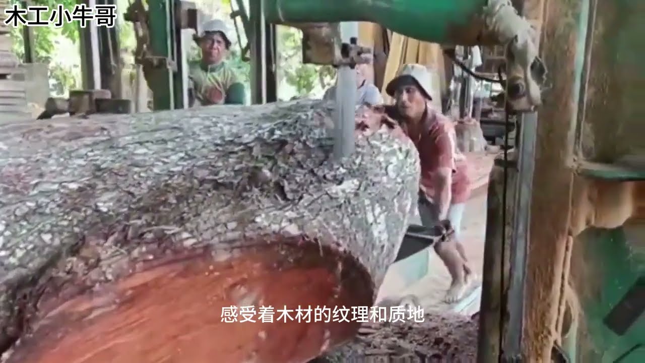 The big secret was revealed, after the sawmill operator split this mahogany wood 