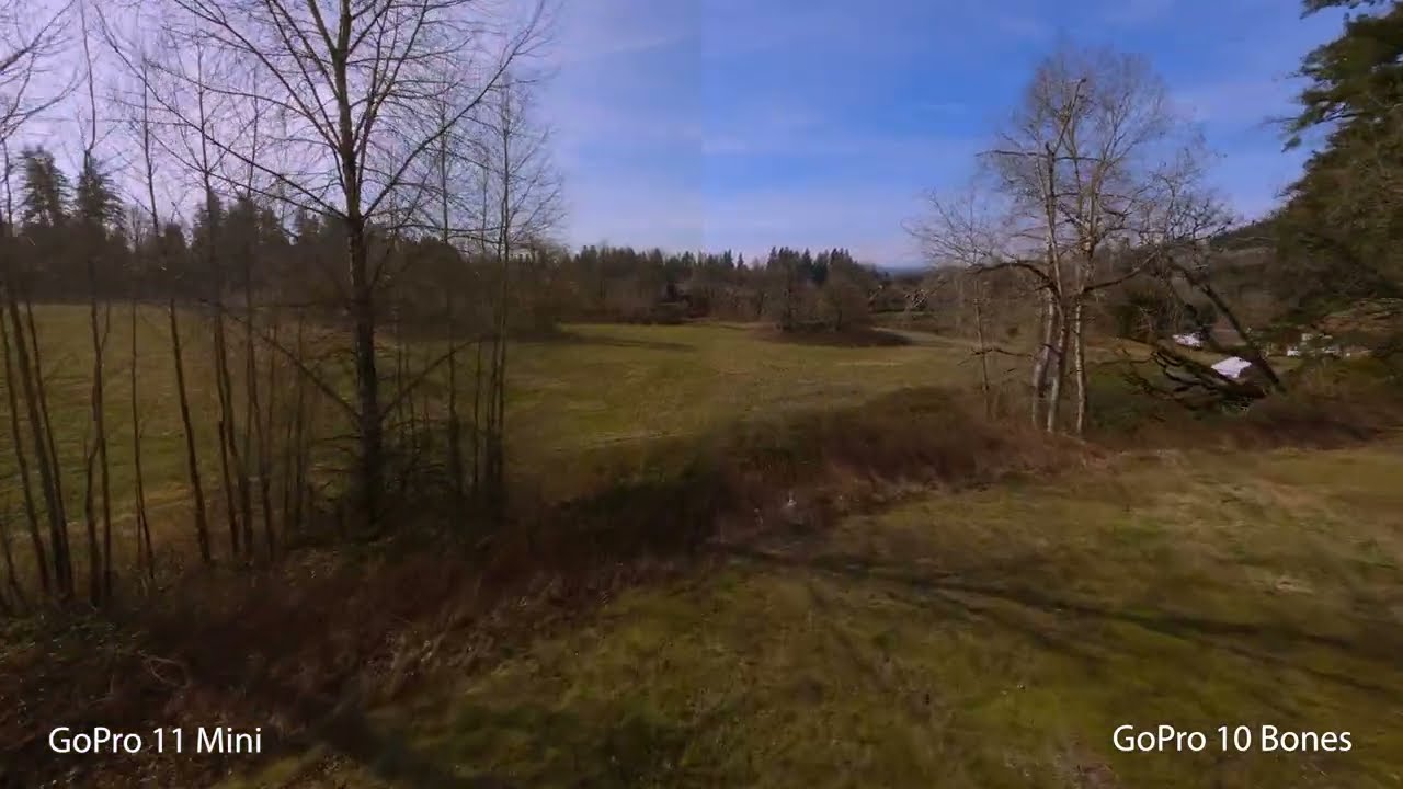 GoPro 11 vs. GoPro 10 vs. Sony ZV-E10