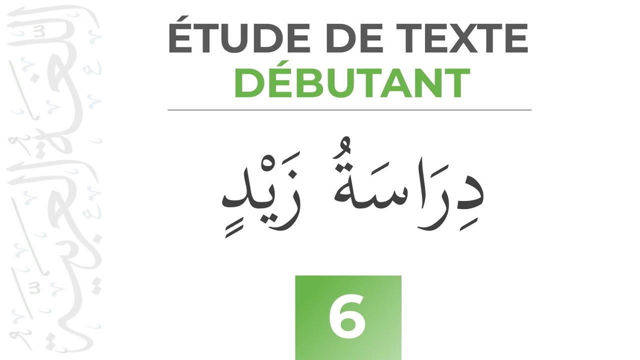 Les études de Zayd - Étude de Texte (Débutant) - Apprendre l'arabe Facilement