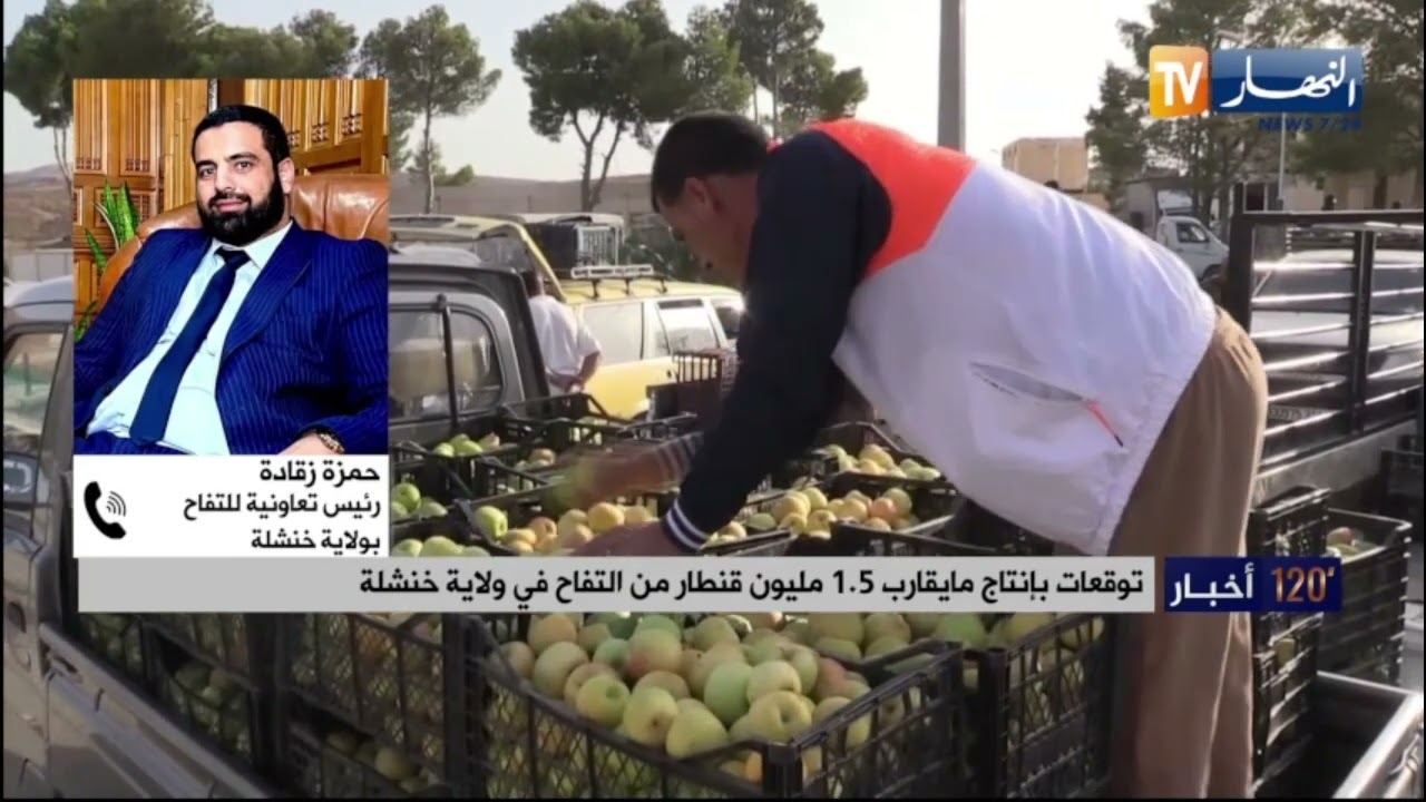 رغم نقص الإنتاج..نحو تصدير منتوج التفاح لعدد من الدول