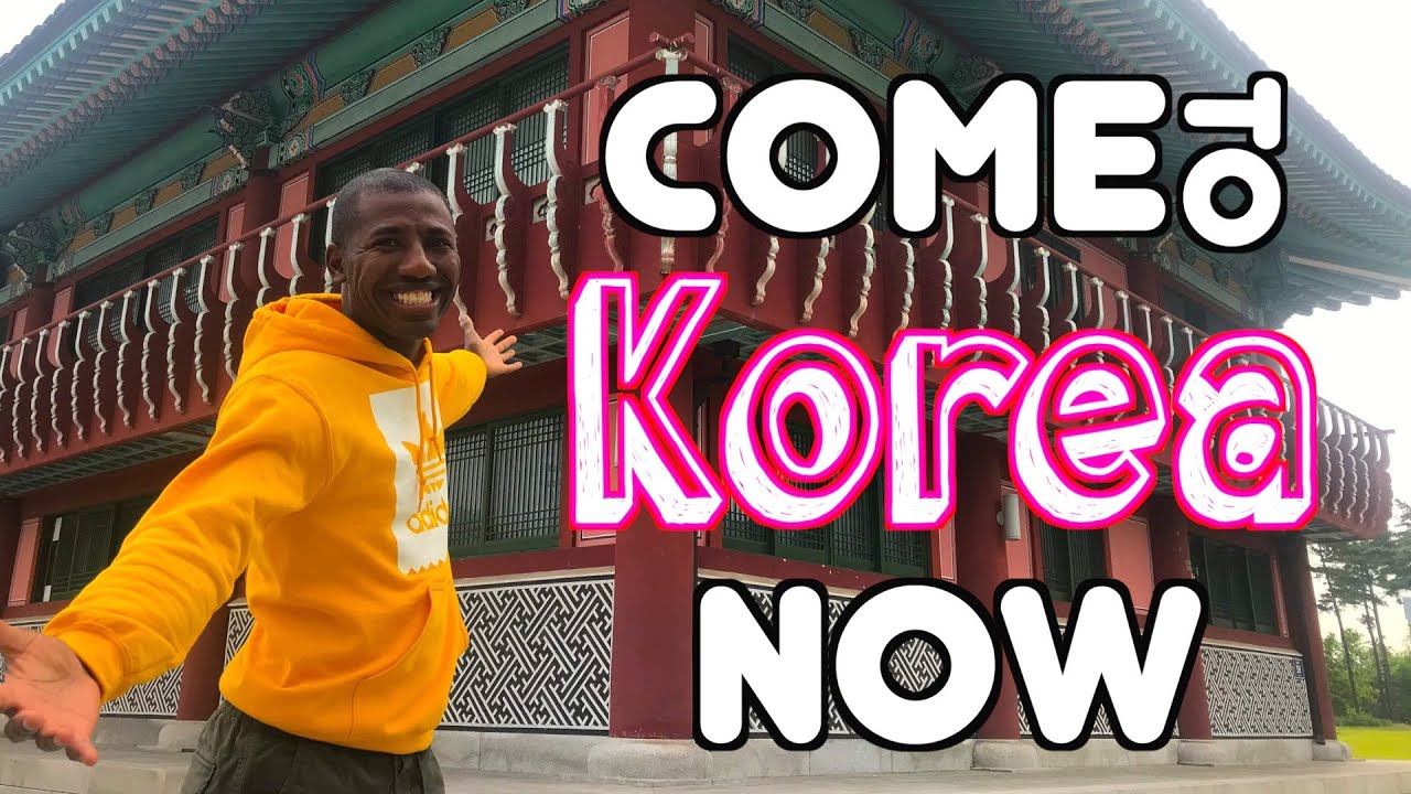 5 Reasons You Should Come to Korea l  Korea Prep for Dummies