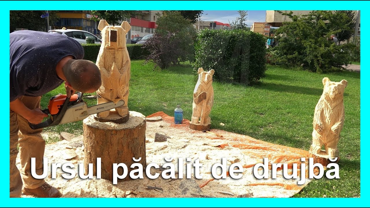 AGORA MEDIA | Ursul păcălit de drujbă