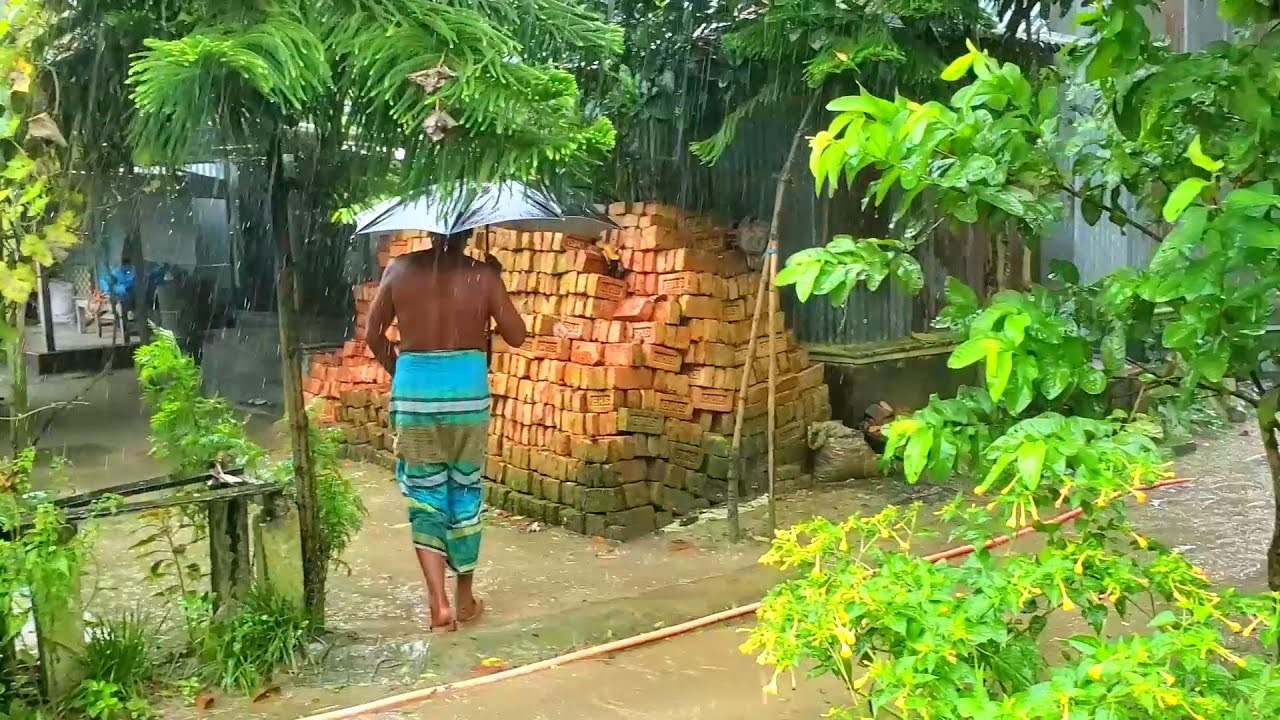 দেখেন বৃষ্টি কাকে বলে কত প্রকার ও কি কি