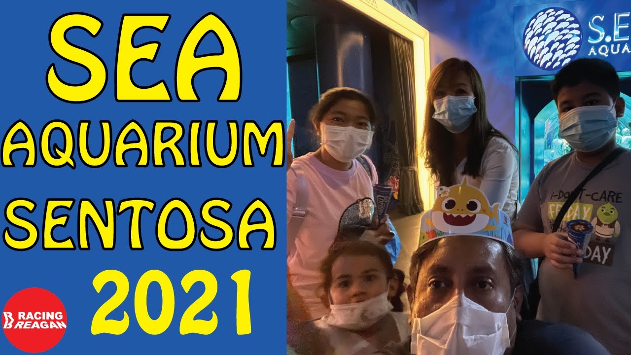 SEA Aquarium Full Tour 2021