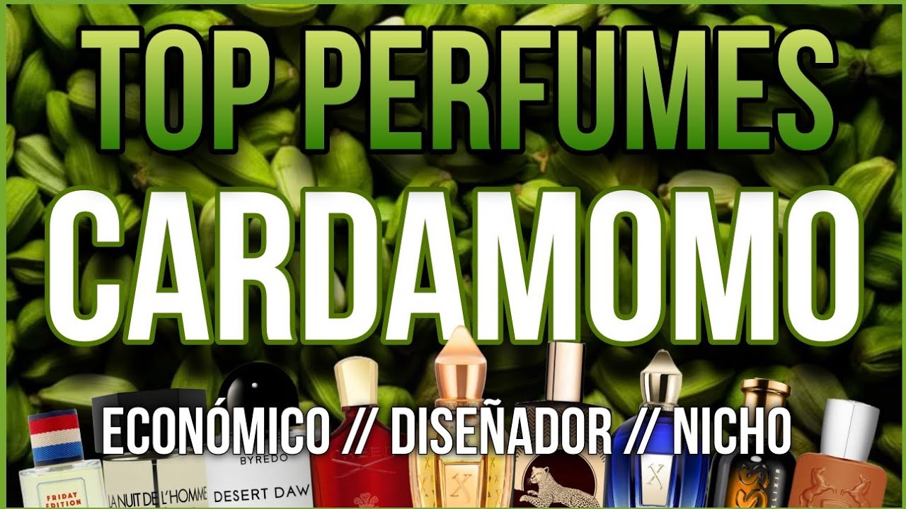 🏅 MIS (+25) MEJORES PERFUMES CON CARDAMOMO🏅 NICHO // ECONÓMICO // DISEÑADOR