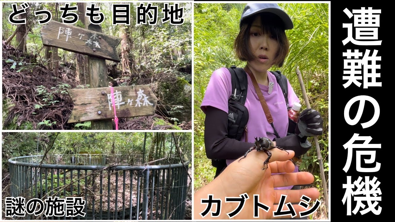 陣ヶ森で遭難の危機【四国百名山】
