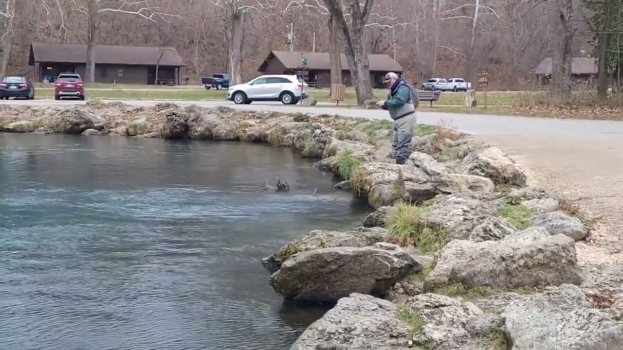 Trout Destroy the Mop Fly at Bennett Spring State Park @letsgoexplorin