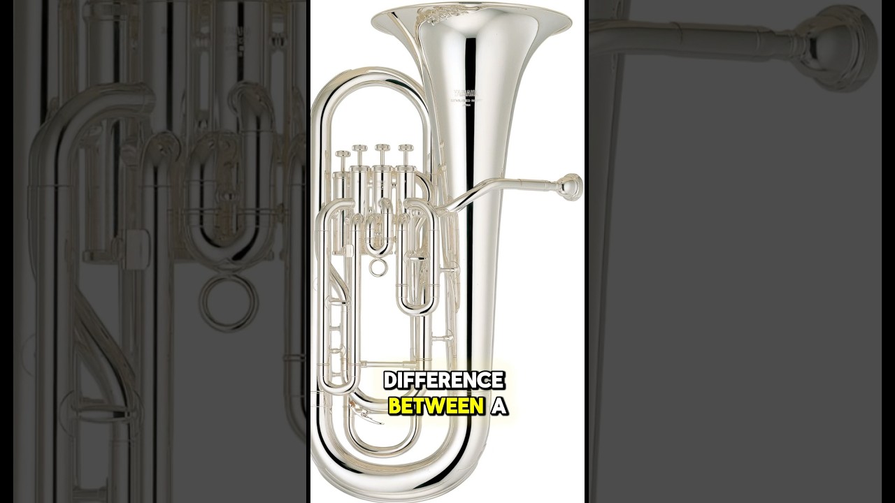 Baritone vs Euphonium: What&rsquo;s the REAL Difference? #euphonium #baritone #brassband #trumpet #tuba