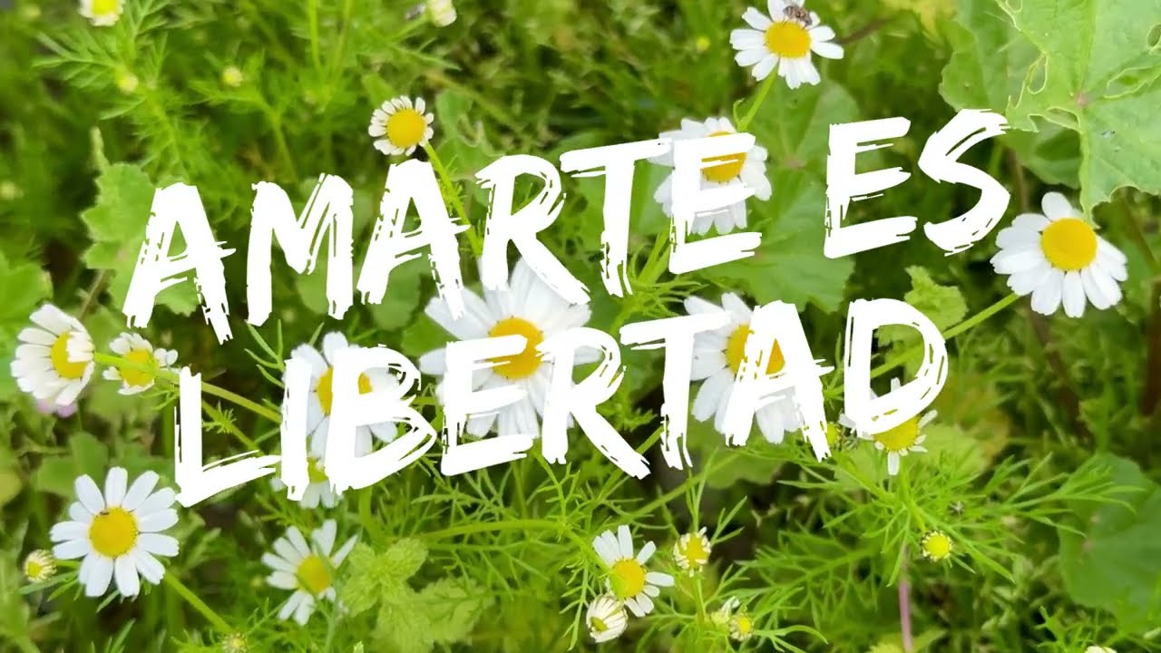 AMARTE ES LIBERTAD