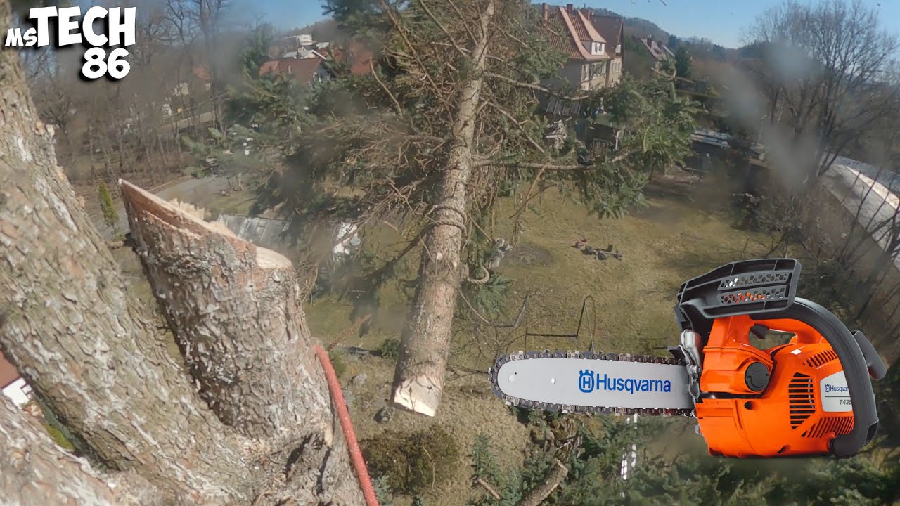 Shortening Spruce - Arborist Method - Work At Height - Rookie Level (Husqvarna T435)