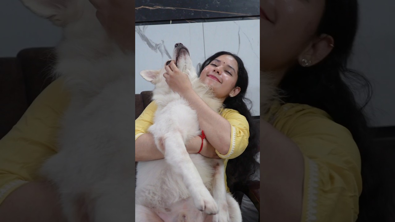 Bigg Boss Ramya Moksha & Her Brother Moksha 🐶 | Now You Know Why She&rsquo;s Called Ramya Moksha! 🥹 #yt