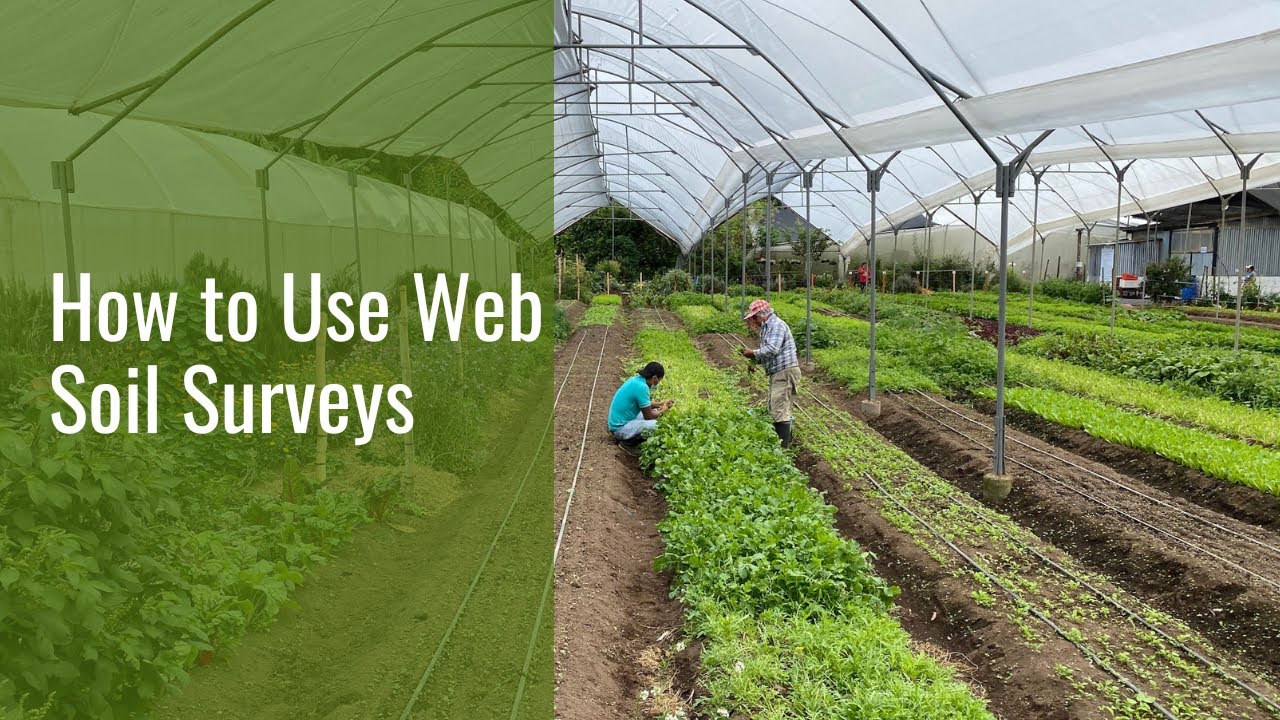 How to Use Web Soil Surveys (USDA Natural Resources Conservation Service)