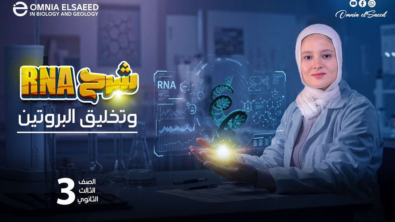 شرح RNA وتخليق البروتين