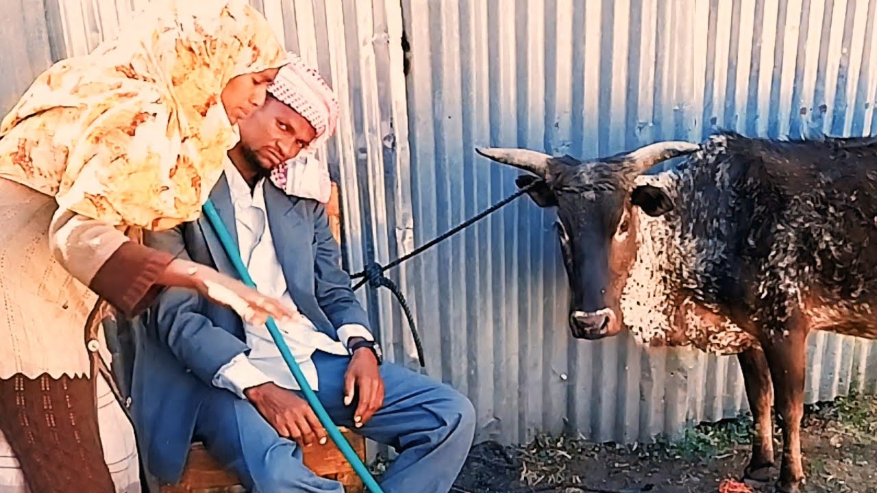 Abu Hamzaan haadan sa,attitude hidhamee lafarra harkifame!!!