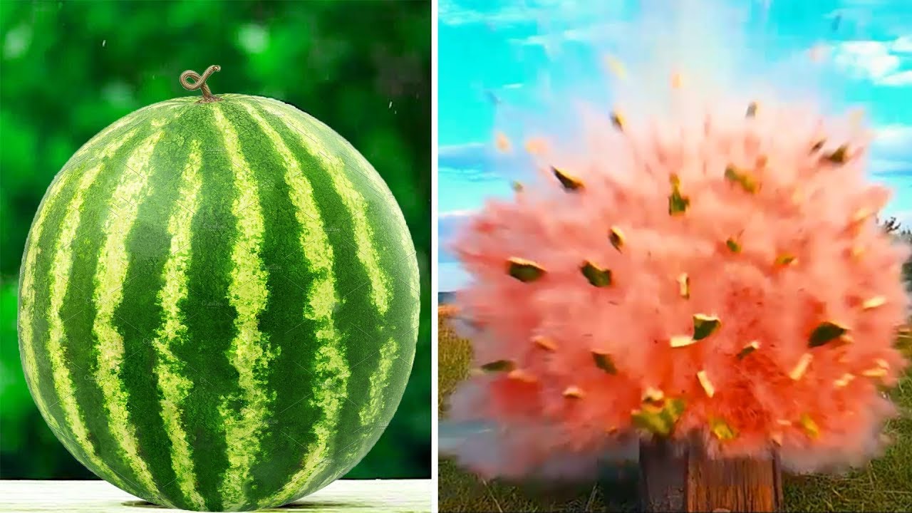 WATERMELON EXPERIMENT