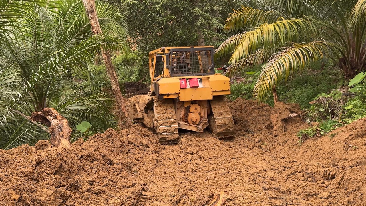 Building Roads in an Oil Palm Plantation with a D6R XL Bulldozer