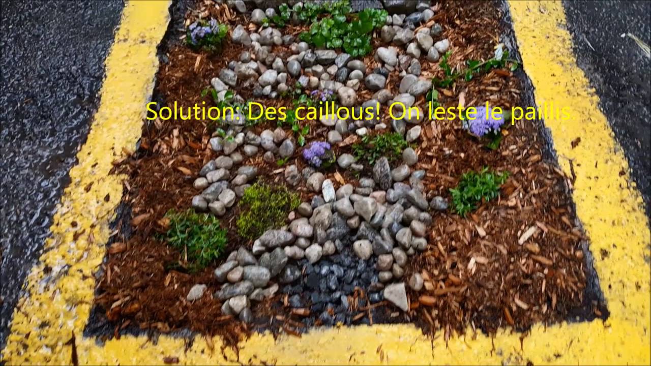 2016-06-06 - Jardin de pluie - Ajustements en temps de pluie