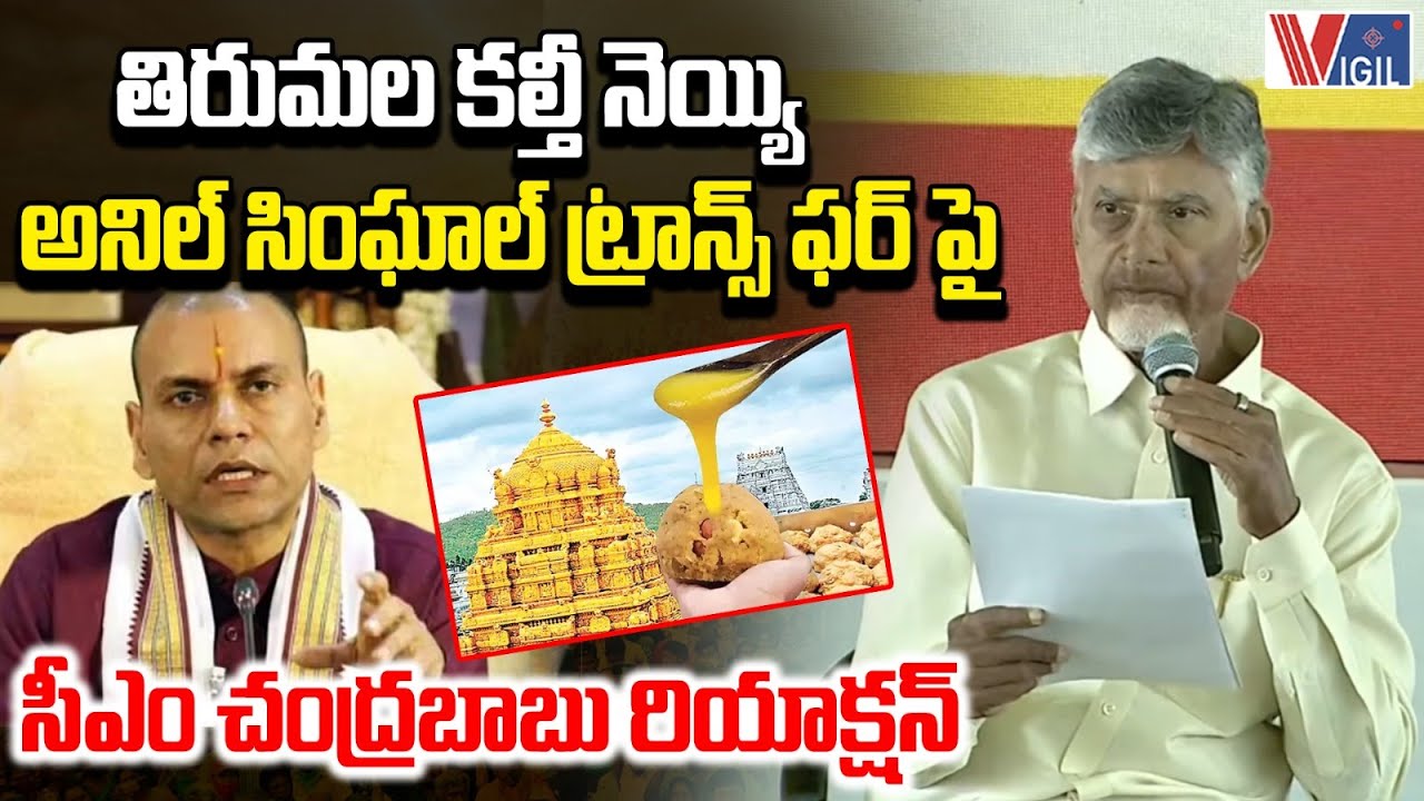 CM Chandrababu Reacts to Tirumala Adulterated Ghee Issue and Anil Singhal’s Transfer | Vigil News