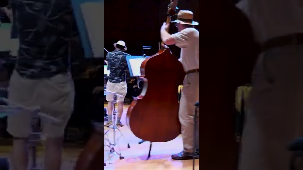 CBSO Notelets: On Safari  #shorts