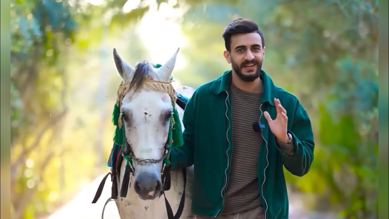 مشروع الحزام الاخضر في كربلاء
