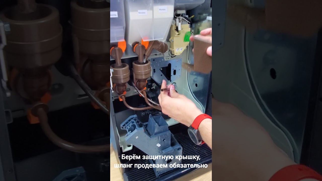 Промывка кофейной группы на кофемашине Saeco Phedra