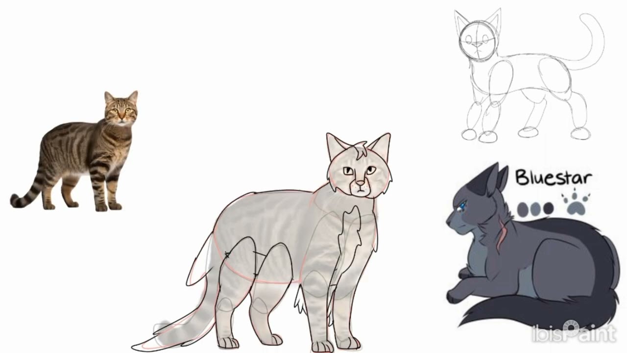 Wariors cats/La guerre des clans : Étoile-Bleue/Bluestar #oc #laguerredesclans#warriorcats 