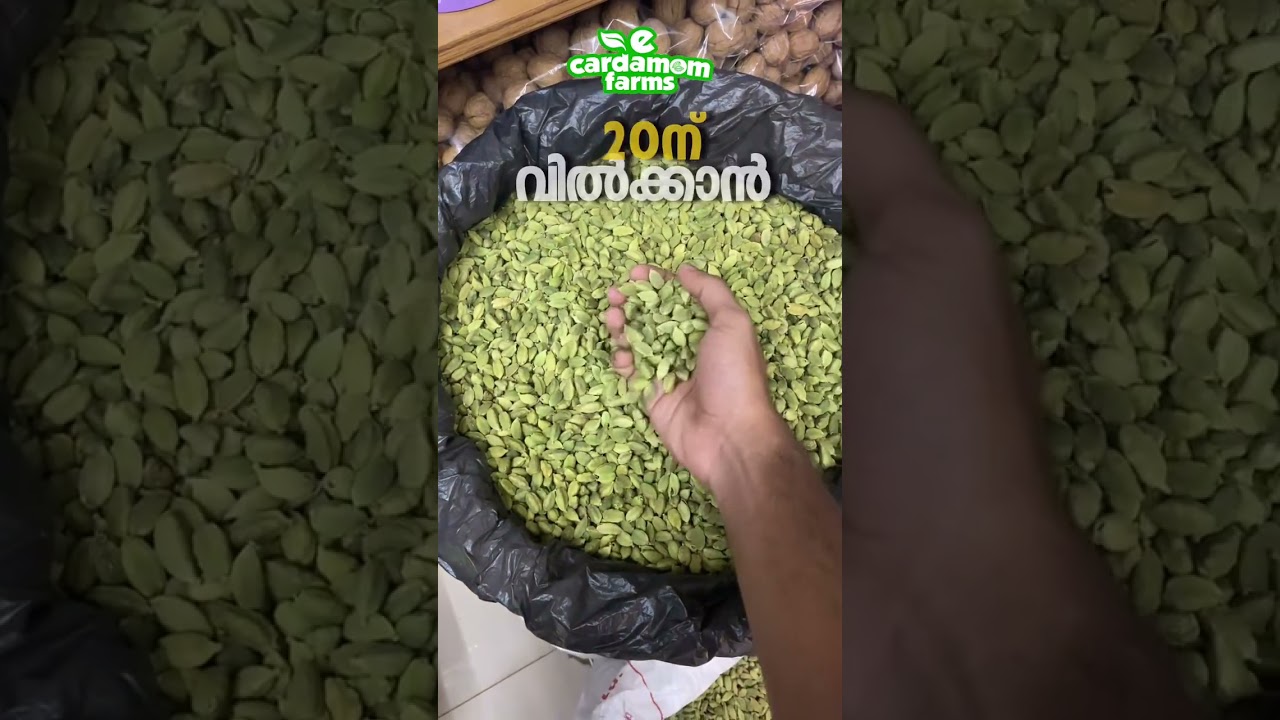 Cardamom business #businessgrowth  #startup