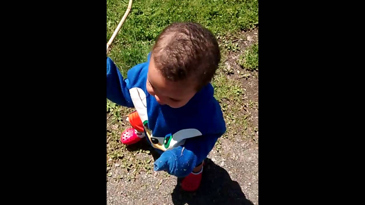 Dulcess goes exploring part 2