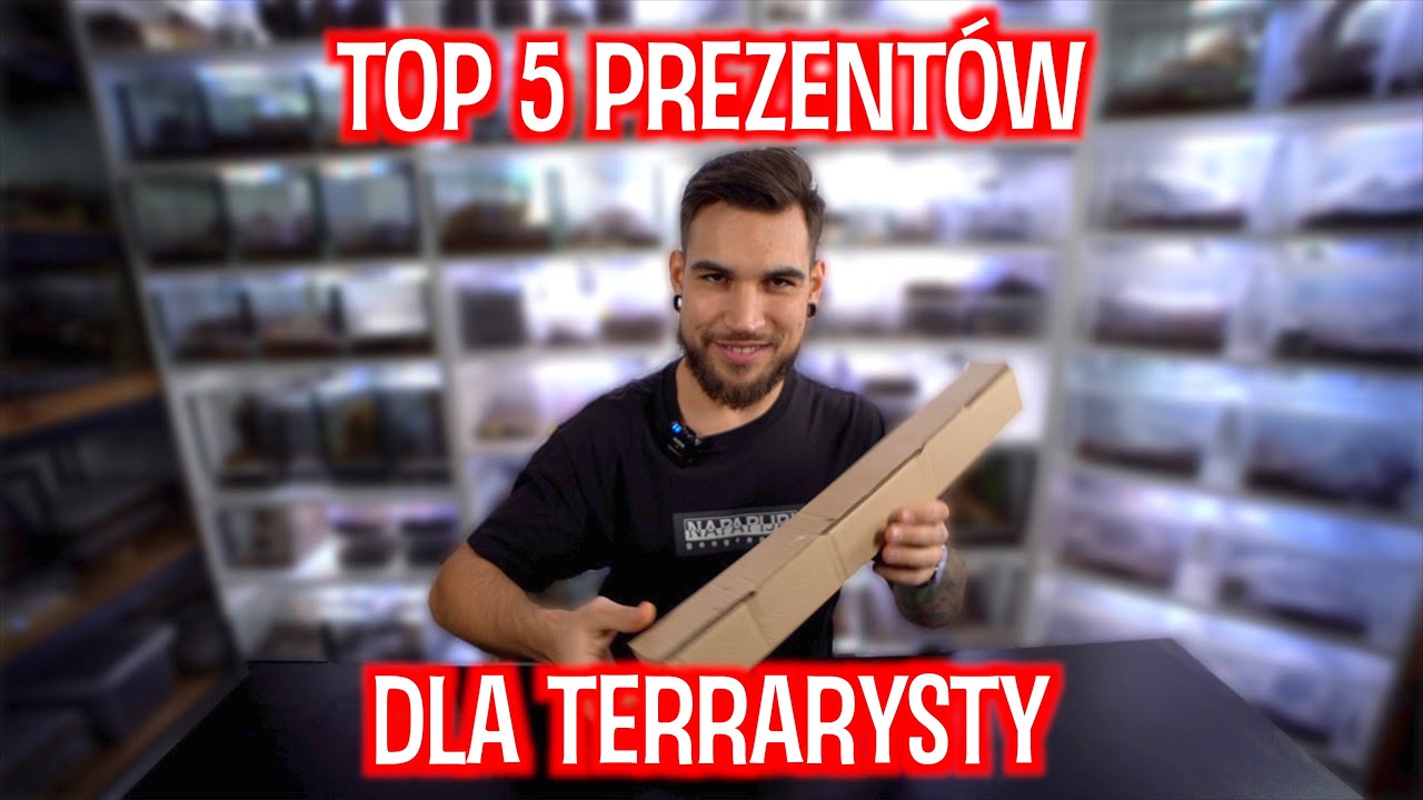 NAJLEPSZE PREZENTY DLA TERRARYSTY 🤩