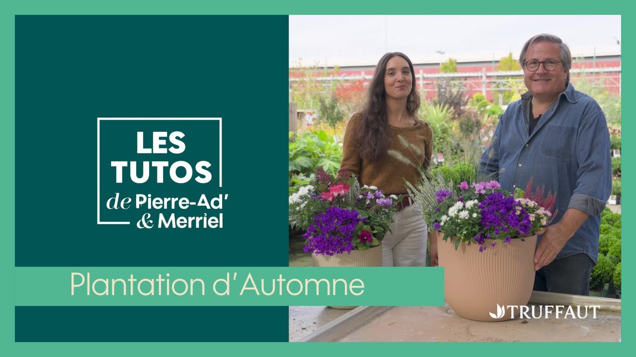 Que planter en automne ? 🌾 - Truffaut
