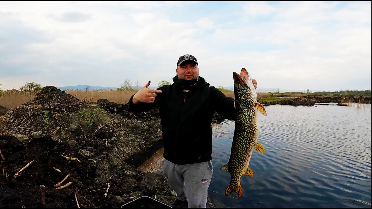 Pecanje stuke na barama - Pike fishing at the Lakes
