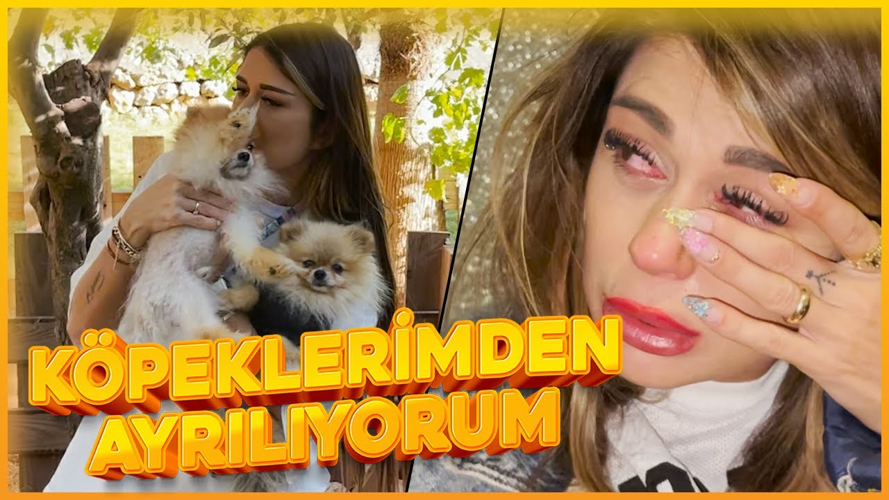 KÖPEKLERİME VEDA EDİYORUM